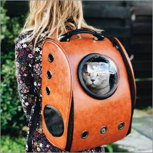 Carriers and Backpacks