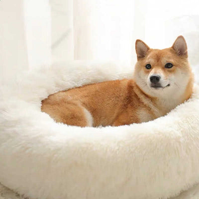 🐩 Calming Beds +  Free Toy & Free Shipping!