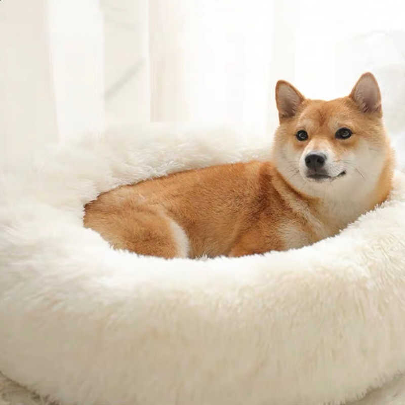 🐩 Calming Beds +  Free Toy & Free Shipping!