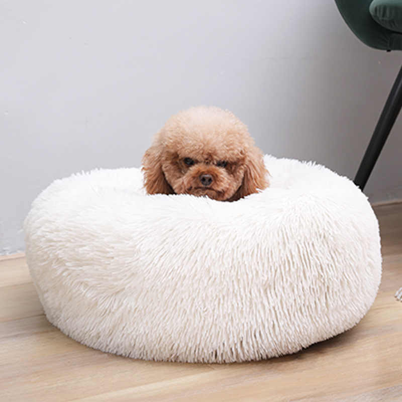 🐩 Calming Beds +  Free Toy & Free Shipping!