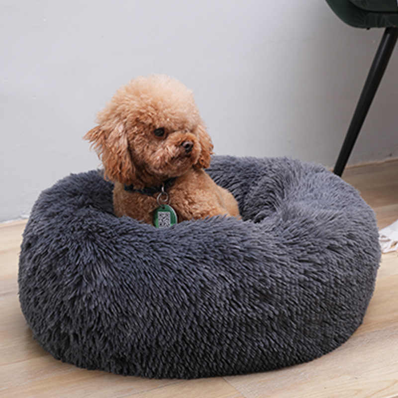 🐩 Calming Beds +  Free Toy & Free Shipping!