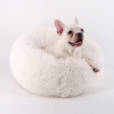 🐩 Calming Beds +  Free Toy & Free Shipping!