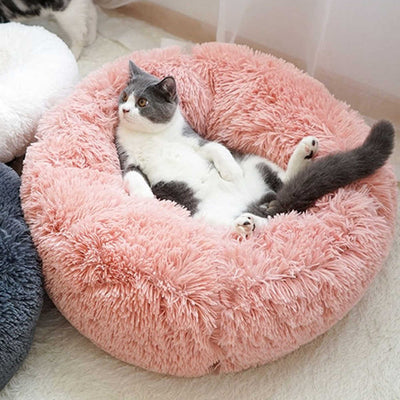 🐩 Calming Beds +  Free Toy & Free Shipping!