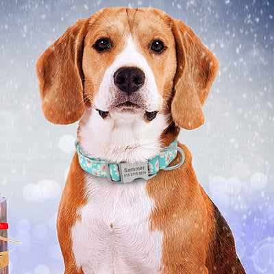 Personalized Dog Collar