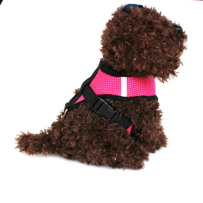 Cat Vest Leash Harness
