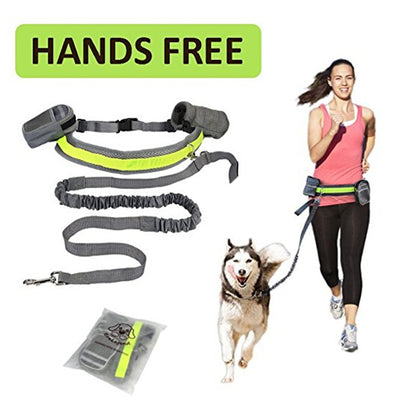 Hands Free Dog Leash for Running