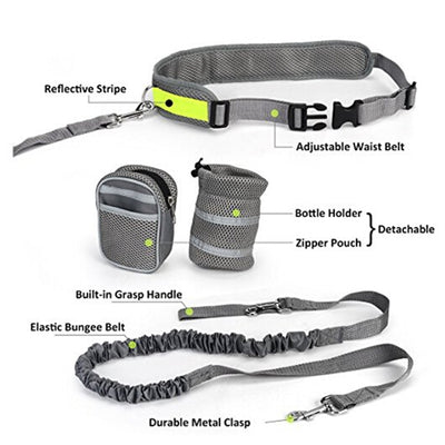 Hands Free Dog Leash for Running