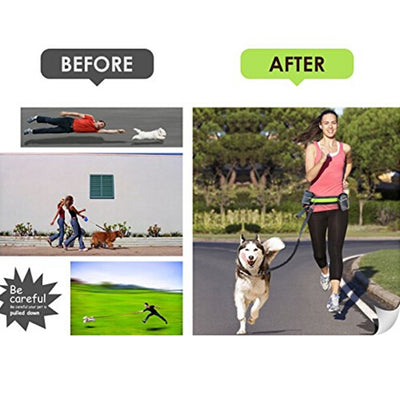 Hands Free Dog Leash for Running