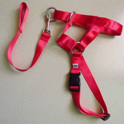 Halter Head Dog Collar