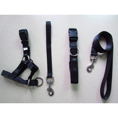 Halter Head Dog Collar