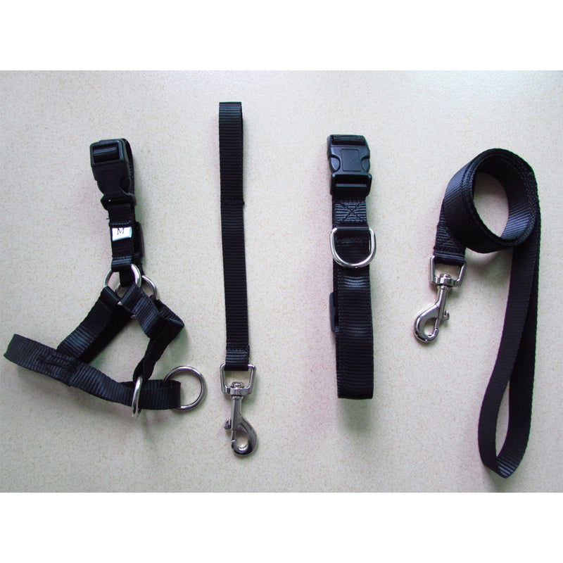 Halter Head Dog Collar