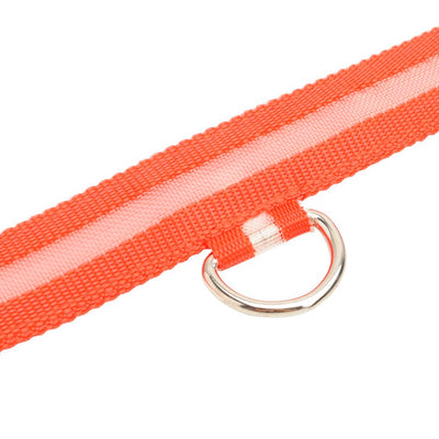 Rechargeable Led Dog Collar
