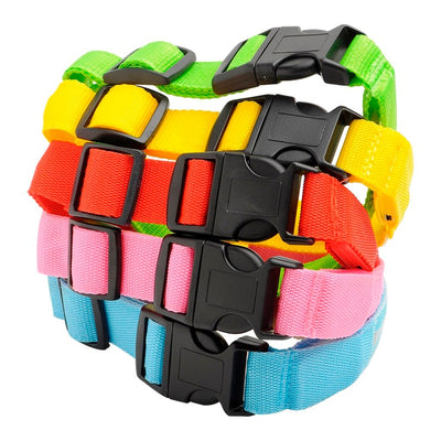 Rechargeable Led Dog Collar