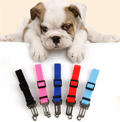 Dog Seat Belt