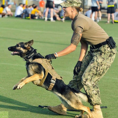 Tactical Outdoor Dog Harness