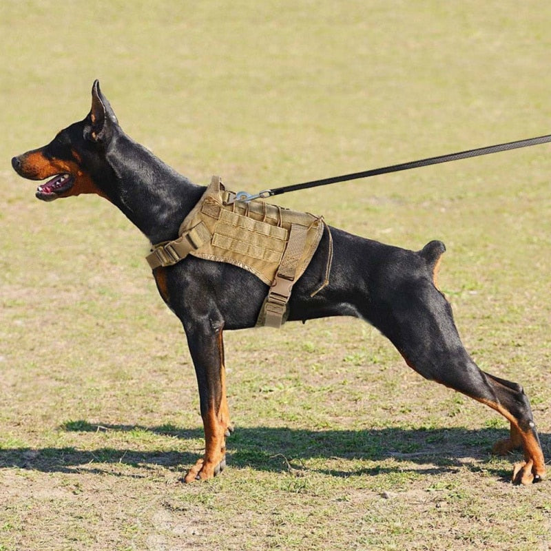 Tactical Outdoor Dog Harness