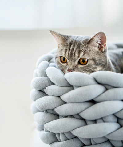 Handmade Marshmallow Twist Bed