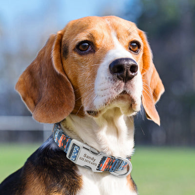Personalized Dog Collar