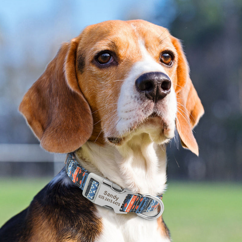 Personalized Dog Collar