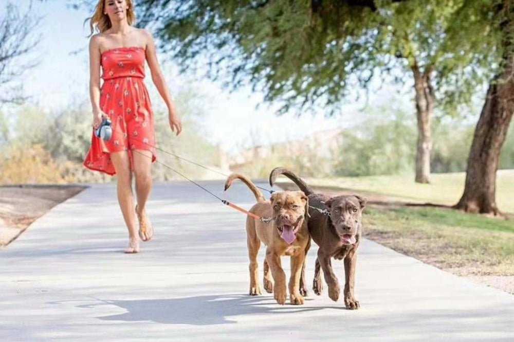 DOG LEASH FOR TWO