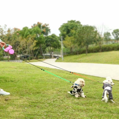 DOG LEASH FOR TWO