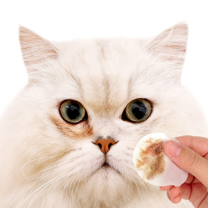 120 Pcs/bottle Pet Eye Wipes