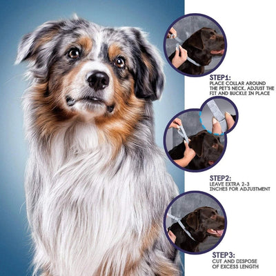 Tick Prevention Collar