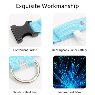 Rechargeable Led Dog Collar