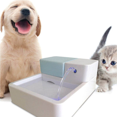 LED Drinking Water Filter for Pets