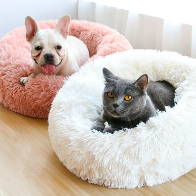 🐩 Calming Beds +  Free Toy & Free Shipping!
