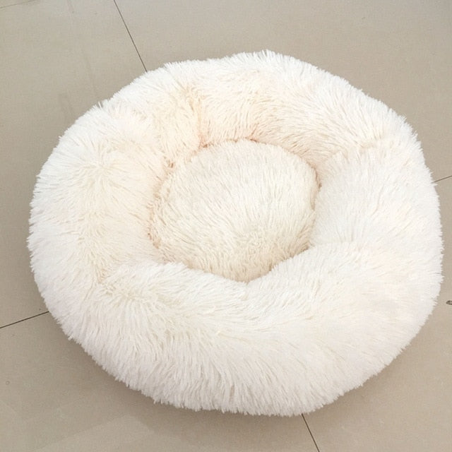 🐩 Calming Beds +  Free Toy & Free Shipping!