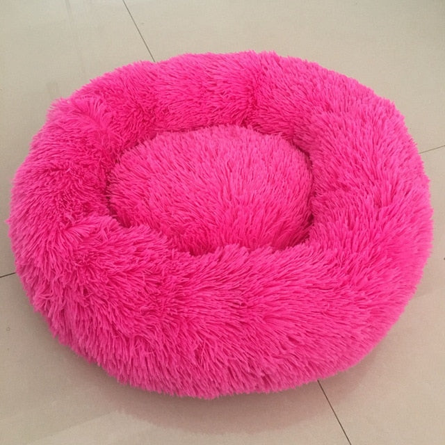 🐩 Calming Beds +  Free Toy & Free Shipping!