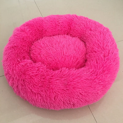 🐩 Calming Beds +  Free Toy & Free Shipping!