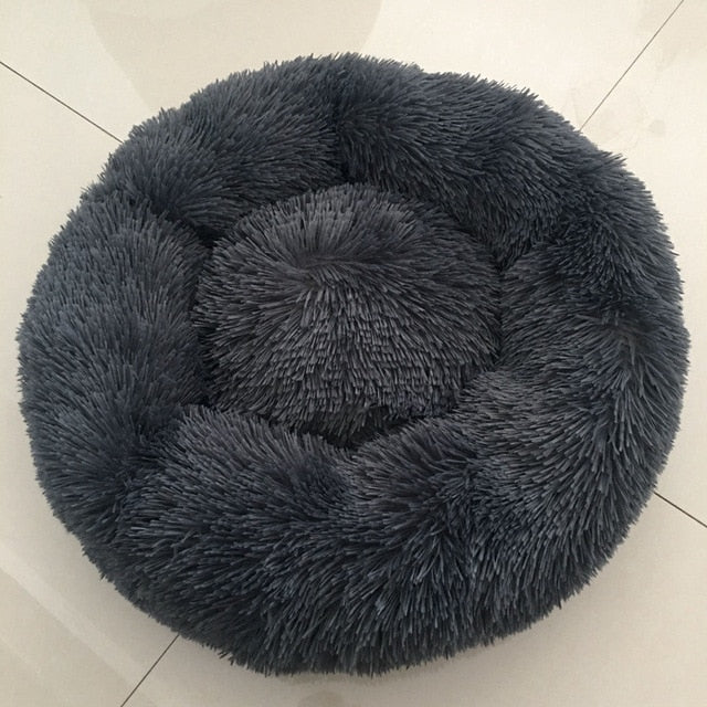 🐩 Calming Beds +  Free Toy & Free Shipping!