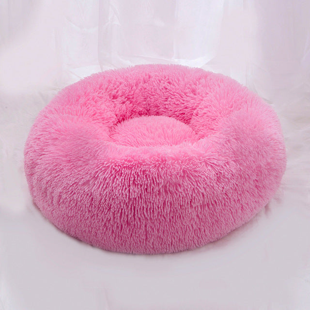 🐩 Calming Beds +  Free Toy & Free Shipping!