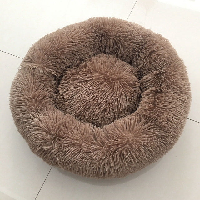 🐩 Calming Beds +  Free Toy & Free Shipping!