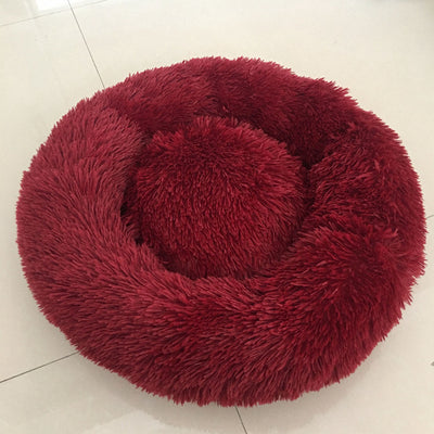 🐩 Calming Beds +  Free Toy & Free Shipping!
