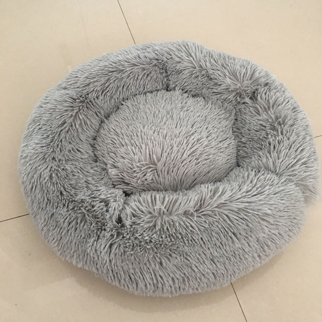 🐩 Calming Beds +  Free Toy & Free Shipping!