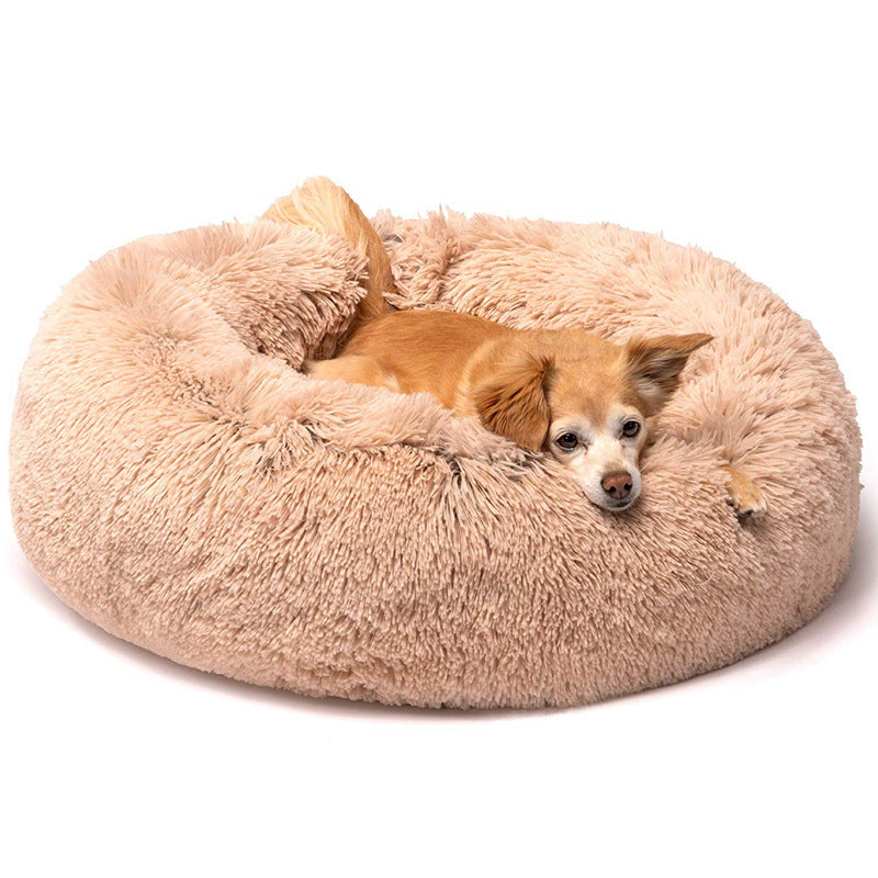 🐩 Calming Beds +  Free Toy & Free Shipping!