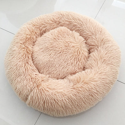 🐩 Calming Beds +  Free Toy & Free Shipping!