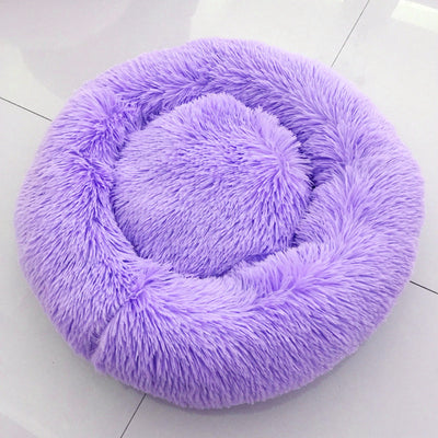 🐩 Calming Beds +  Free Toy & Free Shipping!