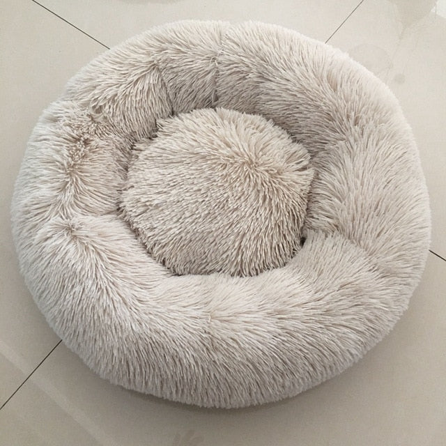🐩 Calming Beds +  Free Toy & Free Shipping!