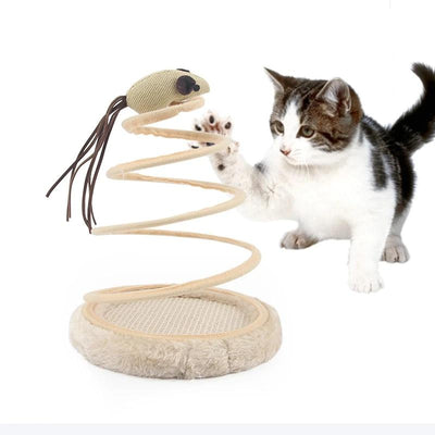Spring Cat Toy