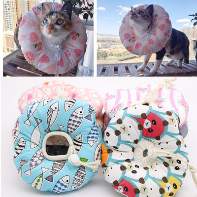 Recovery Collar