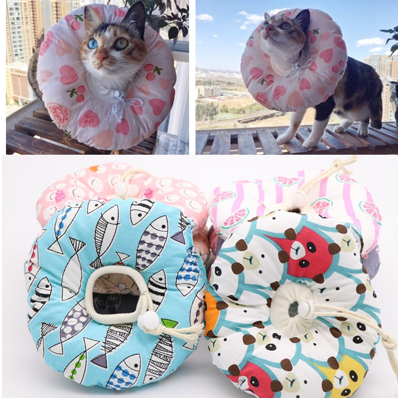 Recovery Collar