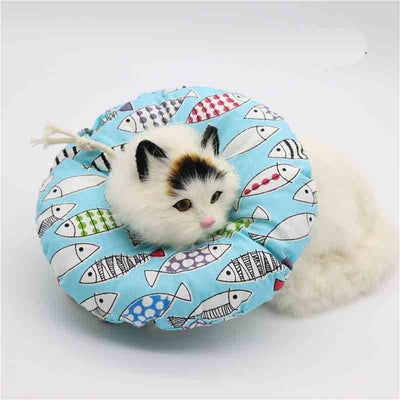 Recovery Collar