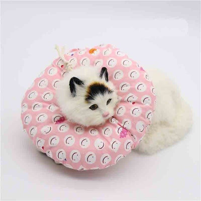 Recovery Collar
