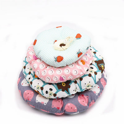 Recovery Collar