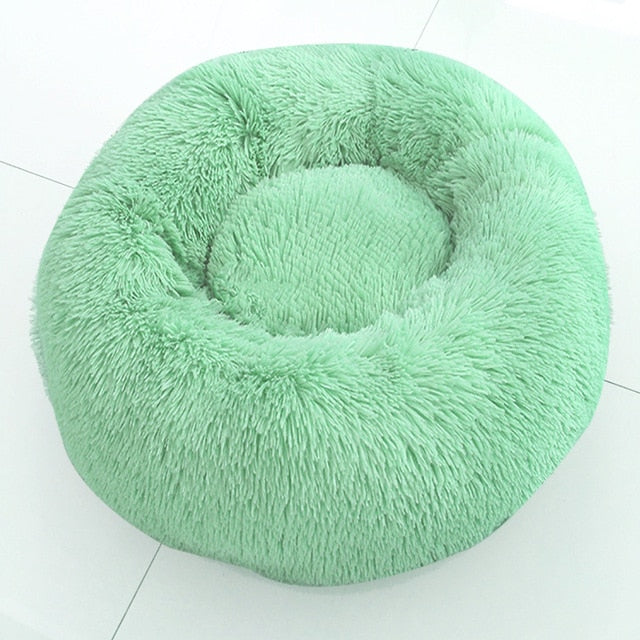 🐩 Calming Beds +  Free Toy & Free Shipping!