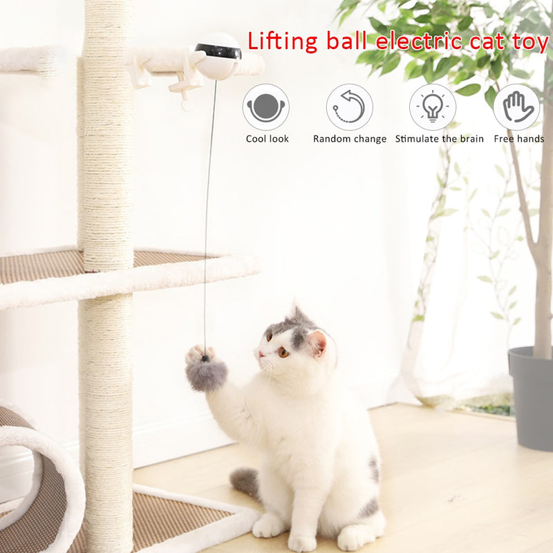 Electronic Motion Cat Toy